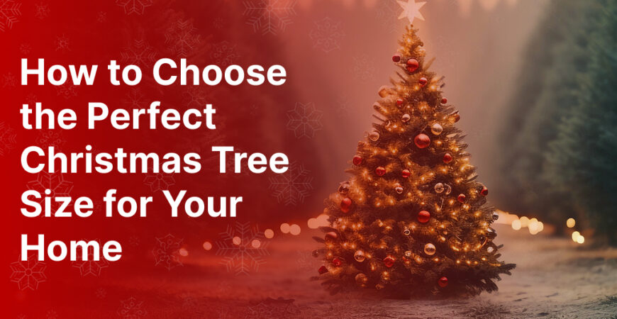 Perfect Christmas Tree Size