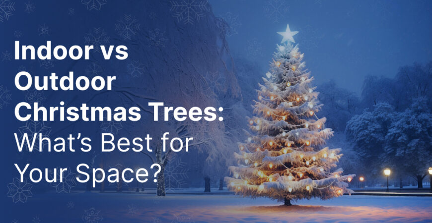 Indoor vs Outdoor Christmas Trees